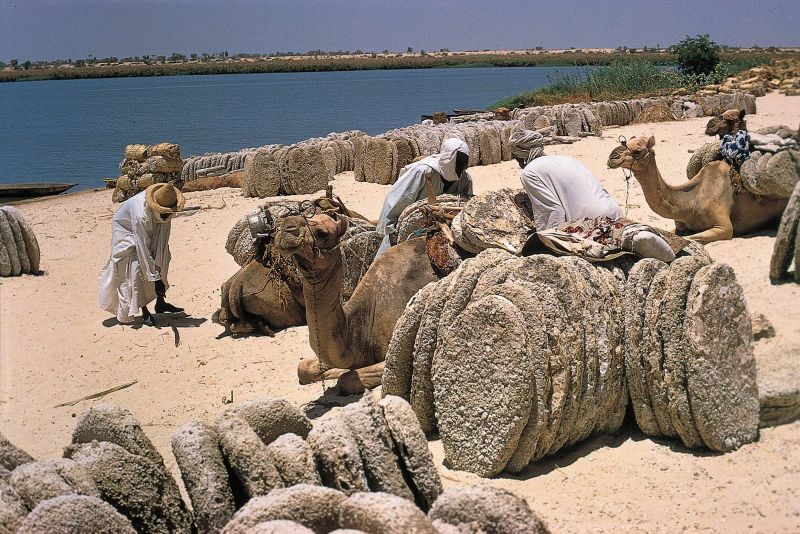 activities around Lake Chad